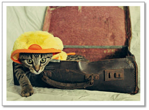 BD0013 - Cat in Luggage