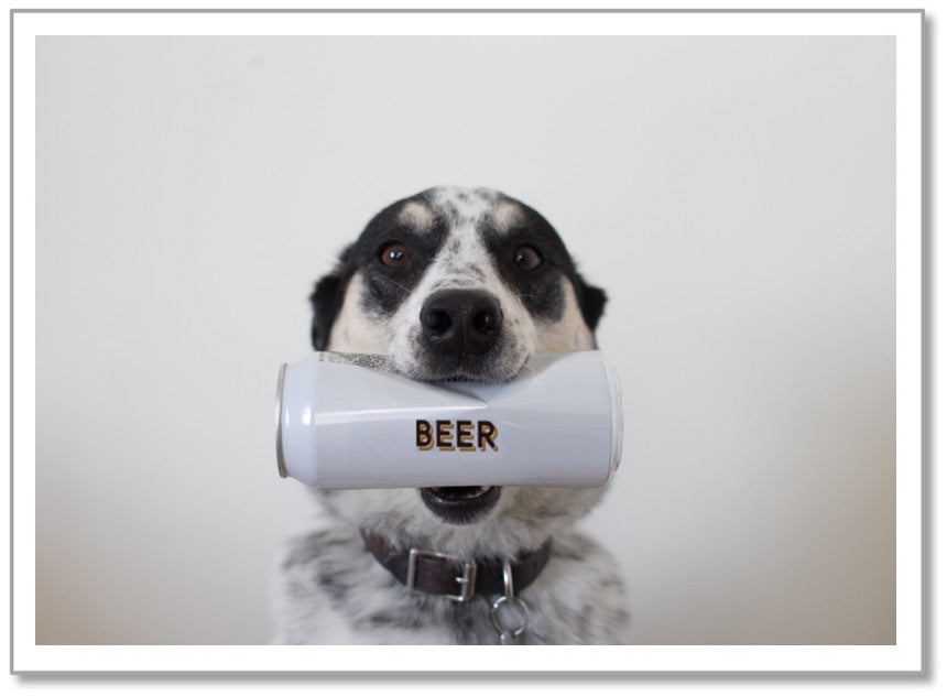 BD0001 - Dog Beer