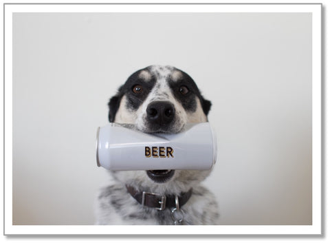 BD0001 - Dog Beer