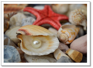 SY0003 - Pearl in Seashell
